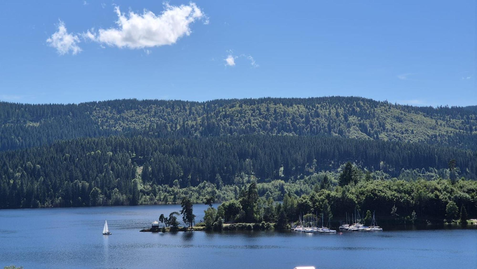 Chalet Schluchsee Ferienwohnung Экстерьер фото
